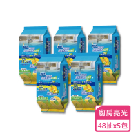 【無塵氏】鳳梨酵素廚房亮光布 48抽x5包(廚房濕巾 油污濕巾)