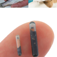 RFID Microchip Animal ID Mini ISO Compliant Pet Cat Dog Transponder Tag With EM4305 Chip For Identification Implant 134.2KHZ