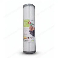 Waterplus Filter Cartridge Carbon CTO 10" CTO 111