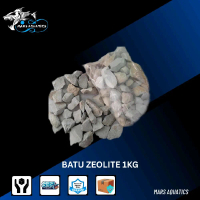 Media Filter Batu Zeolite Penyaring Air Aquarium Kolam Ikan 1kg/1000gr bioring gelembung oksigen