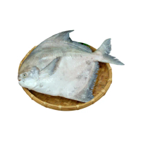【優鮮配】野生一本釣白鯧魚2尾(約500g/尾)