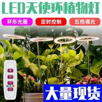 植物燈 全光譜LED植物生長燈 5V植物燈 USB供電 室內栽培 多肉燈 室內盆栽太陽光補光燈 定時開關 可調光