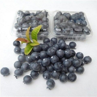 [【滿299出貨】仿真藍莓模型假水果蔬菜道具擺件小果子攝影展示飾品生鮮果子玩具【仿真菜】【仿真模型】【仿真食品】