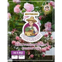 Bibit Premium Bunga Mawar Rambat Baby Pink|Biji Benih Mawar Rambat Pink