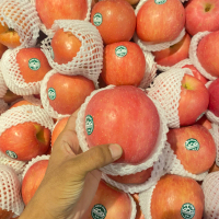 Apel fuji wangshan | buah apel fuji 1 kg