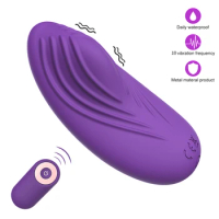 10 Frequency Vibrating Dildo Panties Sex Toys Wearable Clit Vibrator Wireless Remote Control Female Masturbation Tool for Woman