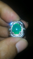 NATURAL BACAN GIWANG DOKO MAJIKO HQ