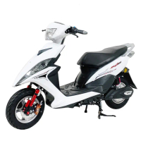 【e路通】EA-ERS 越野手 48V鉛酸 前後碟煞 電動車(電動自行車)