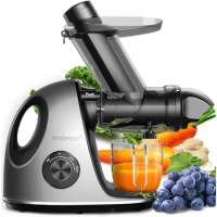 Masticating Juicer machines with 3-Inch Wide Chute, 2-Speed Modes &amp; Reverse Function, Powerful Fruit Cold Press Juicer