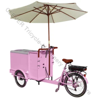 China Cheap Hot Sale 3 Wheel Ice Cream Coffee Pedal Freezer Bike Mobile Cart Food Truck Electric Delivery Tricycle