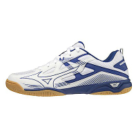 Mizuno Wave Kaiserburg 7 [81GA222027] 男女 桌球鞋 羽球 3E寬楦 止滑 白藍