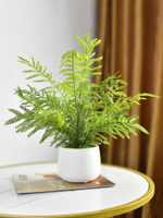 北歐客廳仿真植物蕨類綠植擺件假花ins風裝飾小盆栽桌面擺設創意