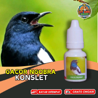 Vitamin Burung Kacer Gacor