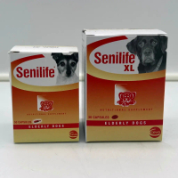 Ceva Senilife Suplemen Otak untuk Anjing dengan CDB untuk Autisme Anjing, Demensia, dan Disfungsi Ko