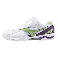 Mizuno Fang [71GA210000] 男女 羽球鞋 寬楦 柔軟 舒適 輕量 高彈性 止滑 美津濃 白 綠紫