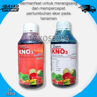 KNO3 merah putih 1 liter pupuk cair kocor dan semprot
