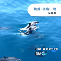 (宜蘭)新福豐36號賞鯨+環龜山島-兒童票
