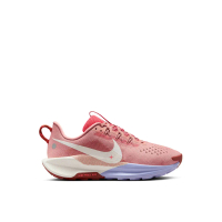 Nike Pegasus Trail 5 Shoes Wanita
