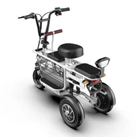 3 wheel electric bicycle 10 inch 12 inch tire elderly city other 11ah electric bike Lithium battery cargo e bike City scooter