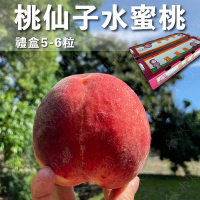 水果狼 美國空運 誼馨園桃仙子水蜜桃5-6顆 / 1.3kg 禮盒