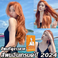 สีย้อมผมออแกนิค สีย้อมผม ยาย้อมผม สีย้อมผมน้ำตาลเบจ สีย้อมผมไม่ต้องฟอก ครีมย้อมสีผม ลงสีเร็วไม่ระคาย