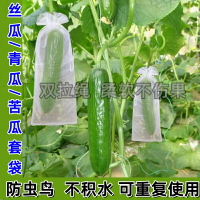 絲瓜黃瓜青瓜苦瓜套袋專用袋防蟲袋保護套瓜果蔬菜水果瓜果網套袋