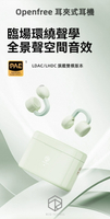 弱水時砂Rose technics Openfree耳夾式藍牙耳機(現貨)LDAC LHDC台灣公司貨
