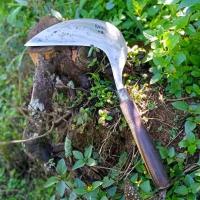 Arit Rumput model gaet bahan baja per anti rompal original