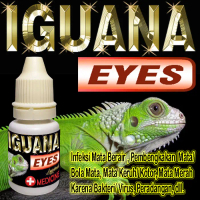 IGUANA EYES OBAT MATA REPTILE BENGKAK BERAIR MERAH MATA TERTUTUP KATARAK PERADANGAN INFKESI OBAT TET