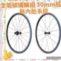 2020 全新 GIANT SLR0 30mm 全能碳纖輪組 30mm框高 無內胎系統 TUBELESS SLR