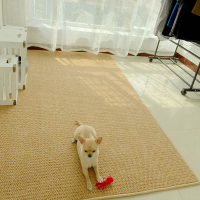 仿劍麻拍照日式地毯臥室客廳房間床邊工作室滿鋪大面積貓爪板地墊 【奇趣生活】