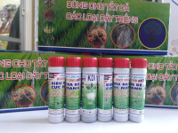 [XẢ KHO] Kích Rễ Root King lọ 20ml, Giúp kích rễ nhanh, Bung đọt thần tốc sau 3-5 ngày