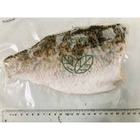 美味冷凍金目鱸魚片 （空白袋）【約200公克-300公克】 《大欣亨》B171036