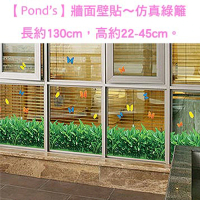 【Pond’s】牆面壁貼〜仿真綠籬/長約130cm