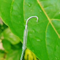 pancing belut/urek belut