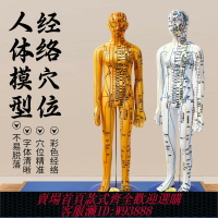 {臺灣公司貨 可打統編}中醫針灸穴位人體模型十二經絡圖全身銅人模可扎針練習小皮人大號