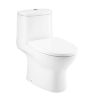 C1053(C91252)สุขภัณฑ์ชิ้นเดียว3/4.5 MICC