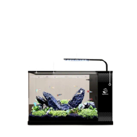 【星治】小型客廳魚缸 亞克力生態魚缸 側濾生態魚缸 智能循環魚缸 預售十二工作天(經典套餐 30*15*20)