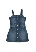 Gap Denim Dress