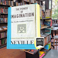 BIG PROMO : The Power of Imagination: The Neville Goddard Treasury