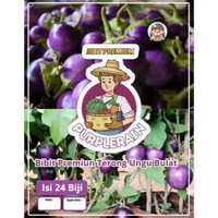 Bibit Premium Terong Ungu Bulat | Benih Terong