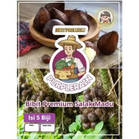 Bibit Premium Salak Madu |Biji Bibit Salak Medan|Benih Salak