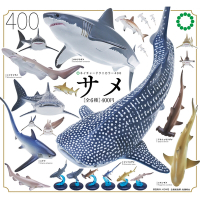 全套6款 日本正版 NTC生物模型 鯊魚篇 扭蛋 轉蛋 擺飾 大白鯊 鯨鯊 迷你鯊魚 鯊魚模型 - 641315