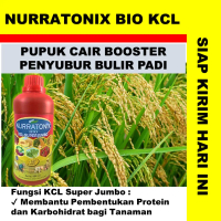 PUPUK TANAMAN PADI CAIR - PUPUK BOOSTER TANAMAN PADI TERBAIK NURRATONIX BIO KCL 500 ML