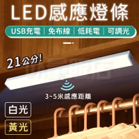 LED人體感應燈條21CM(白光)