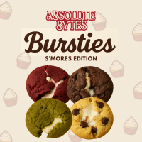 Bursties S'mores Edition by ABSOLUTE BYTES Soft Cookies