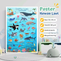 Poster Hewan Laut Edukasi Anak Poster Belajar Anak Mengenal Binatang Laut