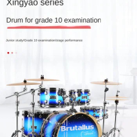 IPUSEN Frame Drums for Adults and Children Home Beginners 5 Drums 234 Cymbals Introductory Exam Jazz Drums Professional