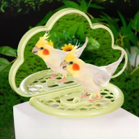 Parrot Mirror Full Set | Feeder + Perch Stand for Budgie/Cockatiel/Lovebird