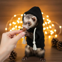 Mesra kulit Anjal Hoodie Ferret Selesa Lembut Pullover Ferret Tali Serut Bergaya Bulu tebal Baju Bel